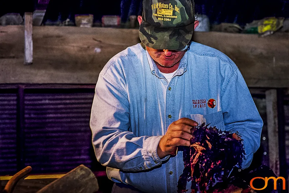 Perique Tobacco: Pressure Fermentation in Louisiana