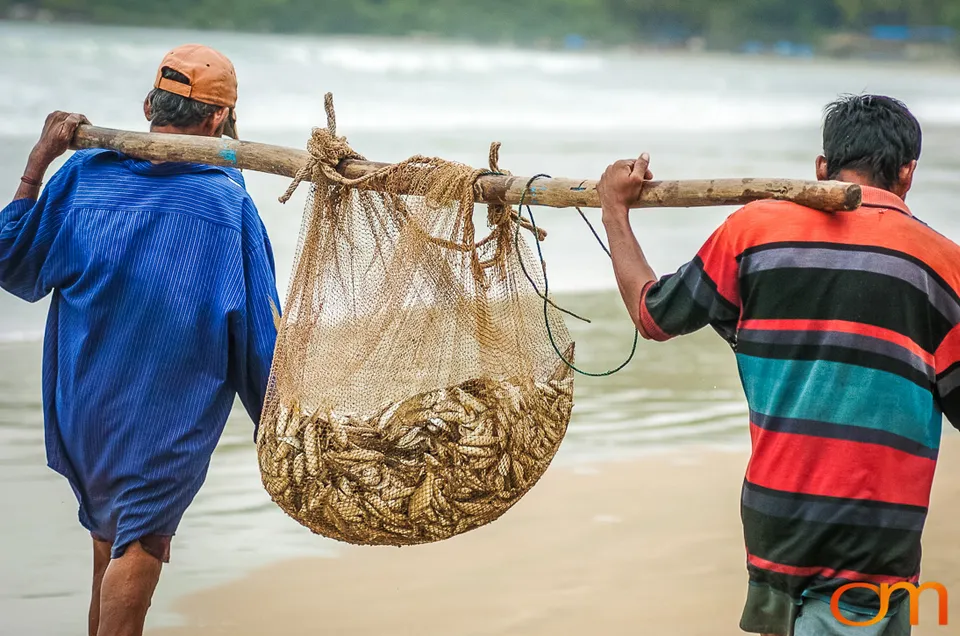 Polem Beach: Fishing Life on Goa’s Southern Coast