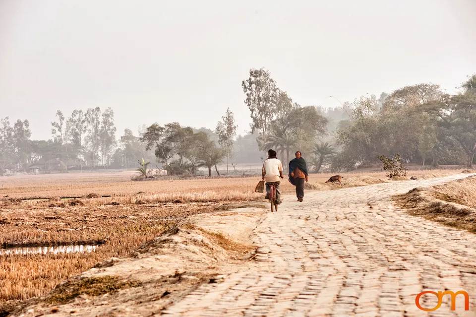 The Indian Sundarbans: Mangrove Forests and Tidal Islands