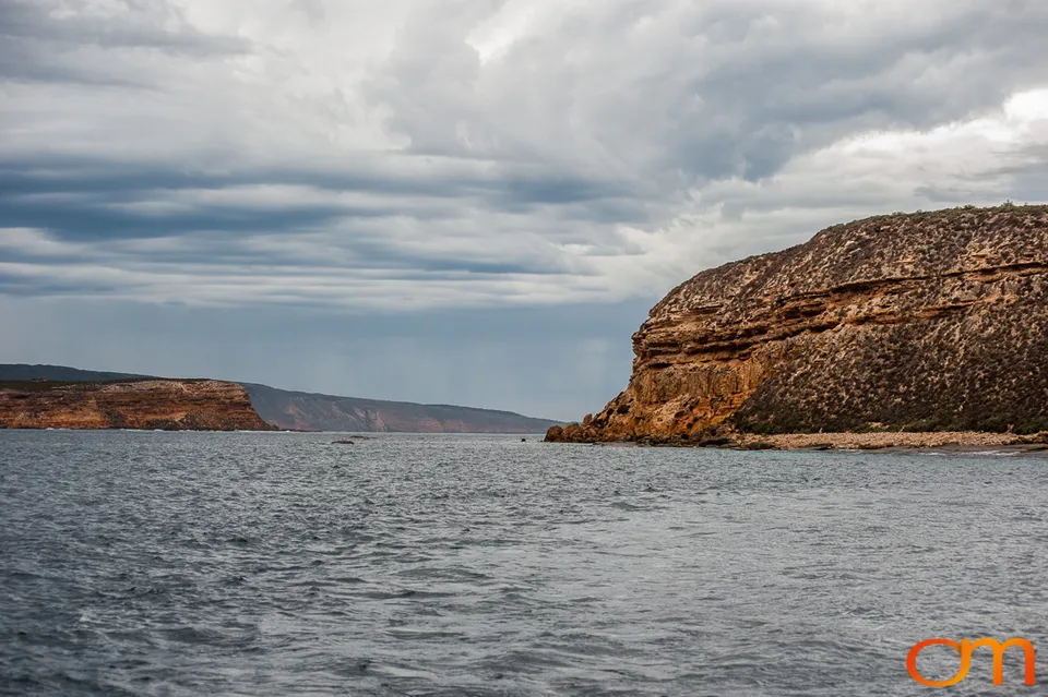 Port Lincoln and the White Sharks of the Neptune Islands