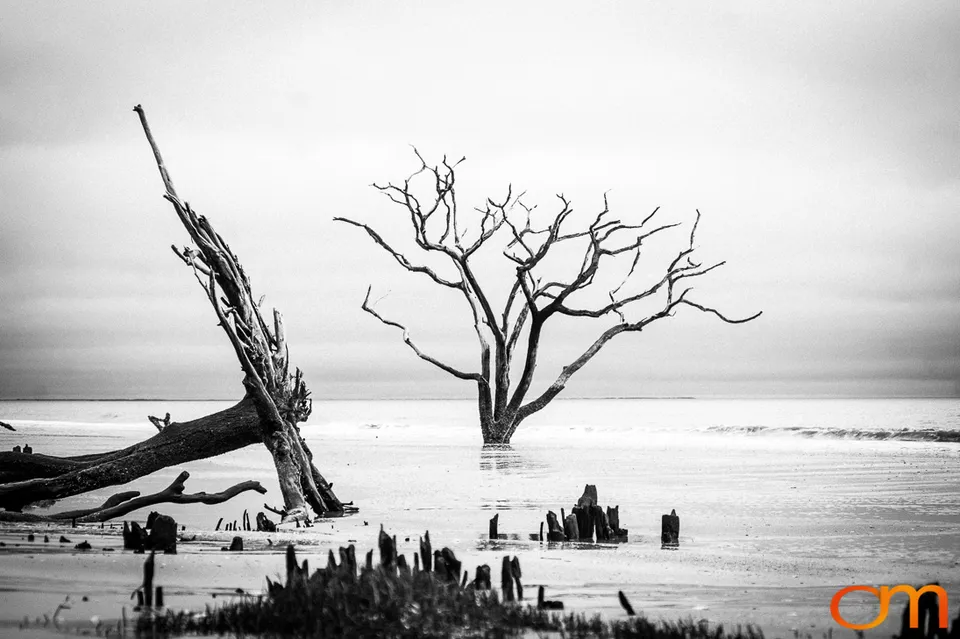 Botany Bay Plantation Heritage Preserve, Edisto Island