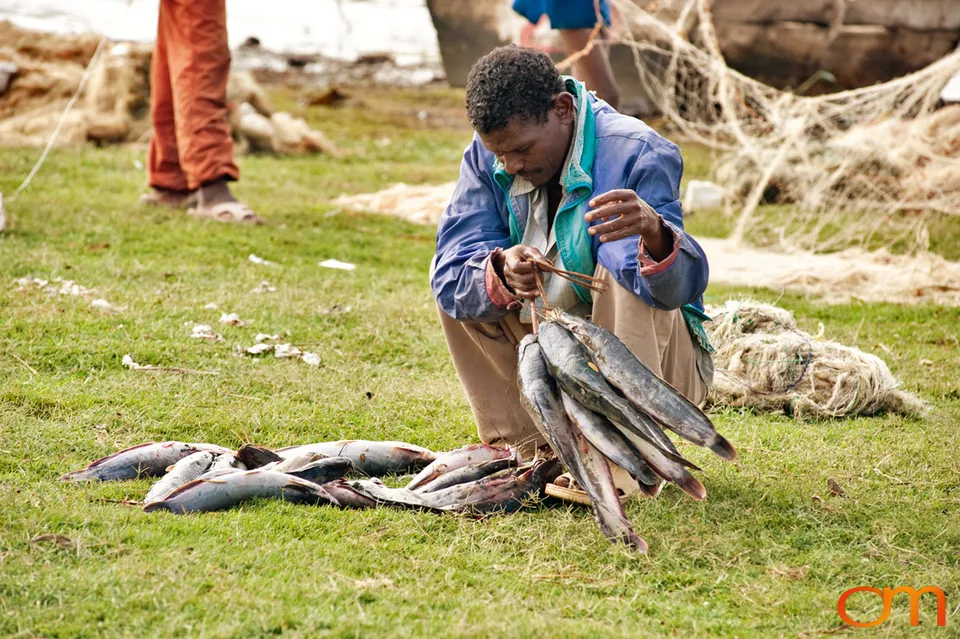 Awassa Fish Market