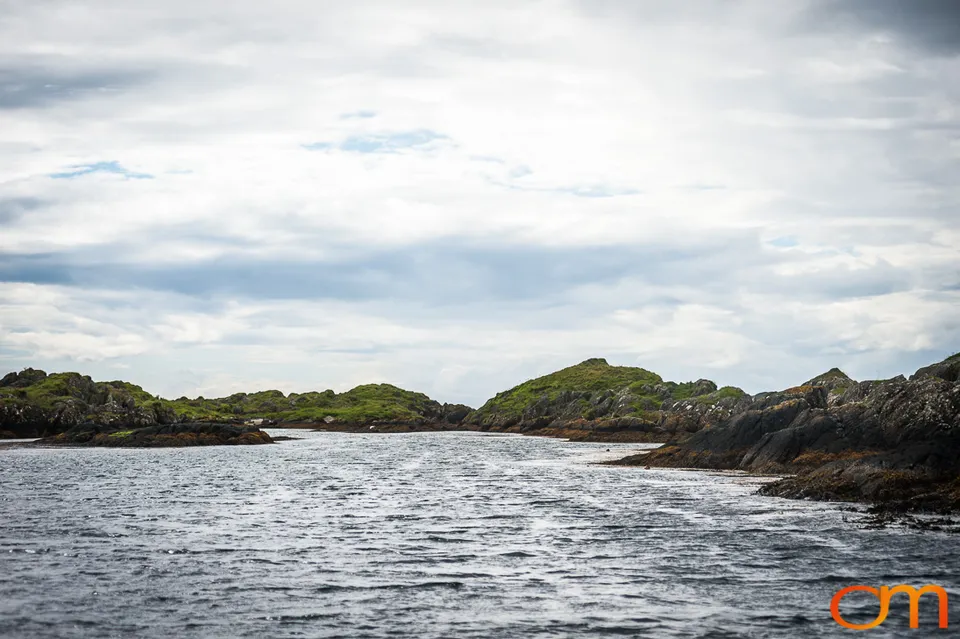Great Islay Swim