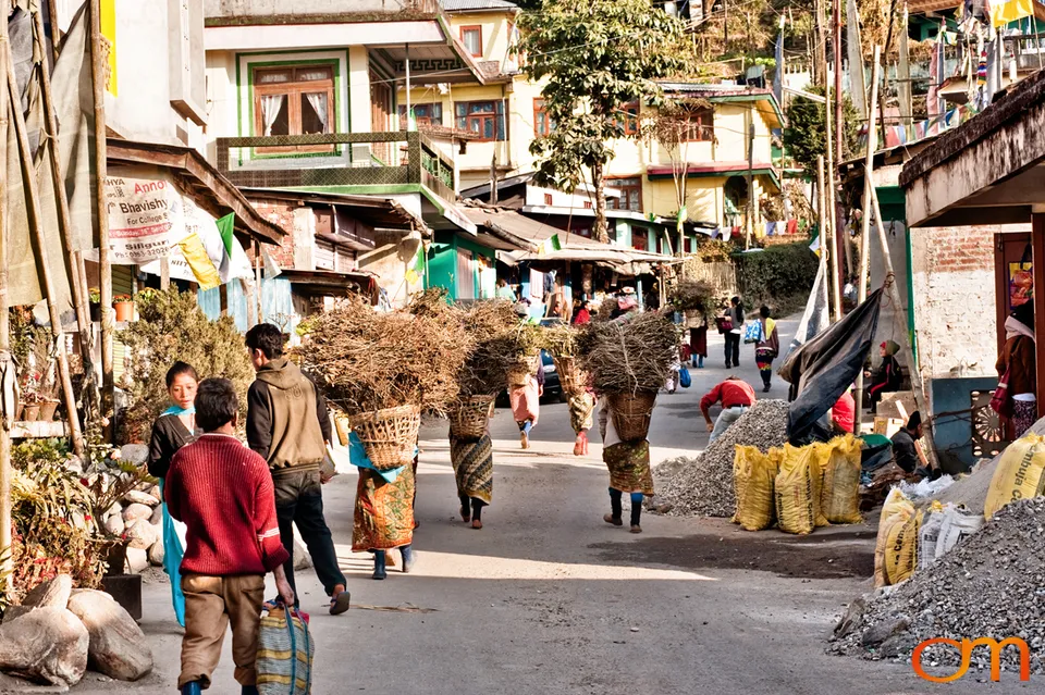 Mirik: Tea Gardens and Himalayan Community Life