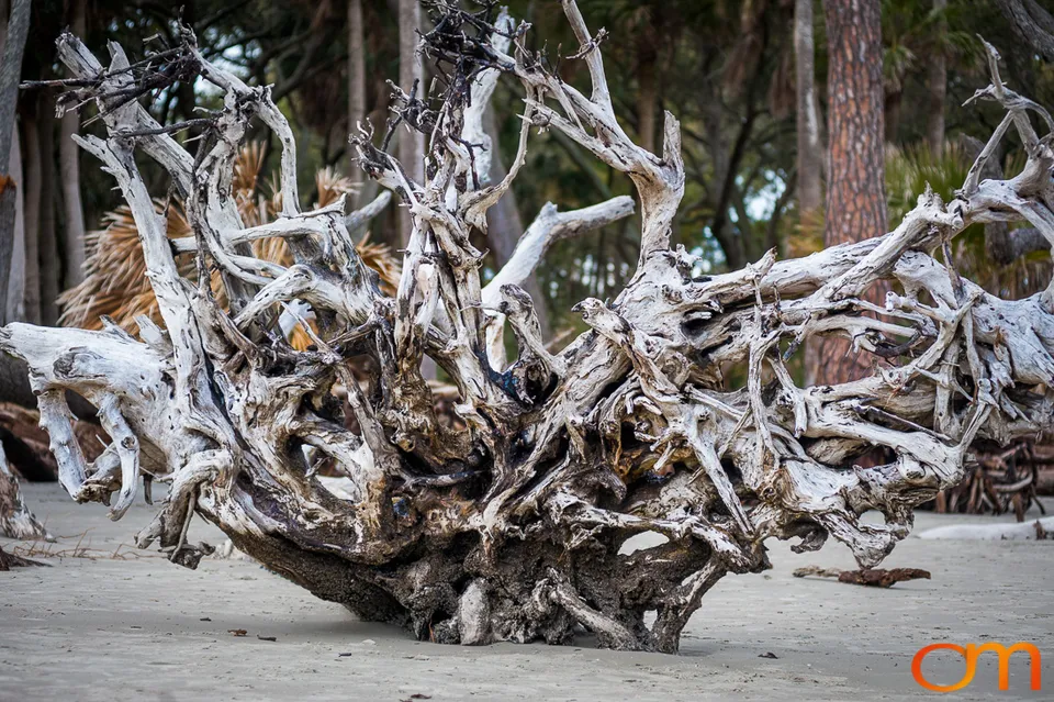 Hunting Island State Park and Lighthouse