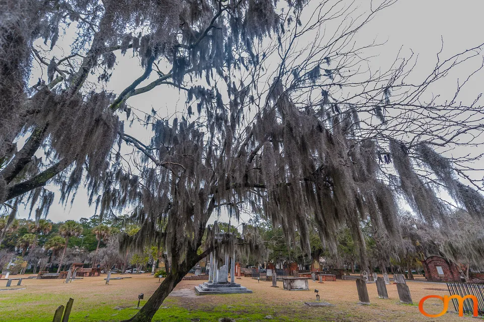 Savannah Georgia