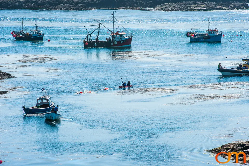 Great Islay Swim