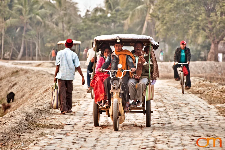 The Indian Sundarbans: Mangrove Forests and Tidal Islands