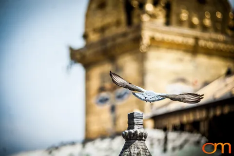 Swayambhunath Stupa and Sacred Complex