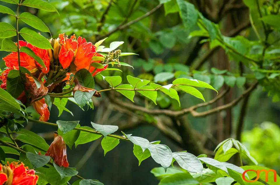 Puerto Rico: History and Biodiversity