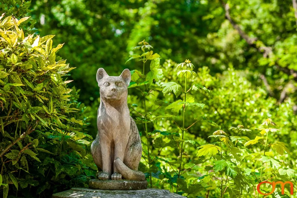 Cimetière des Chiens: The Pet Cemetery of Asnières-sur-Seine