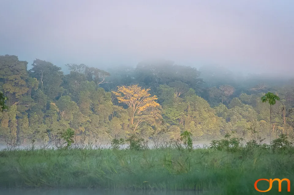 The Peruvian Amazon