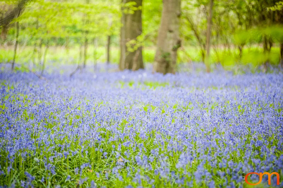 Turville, Buckinghamshire