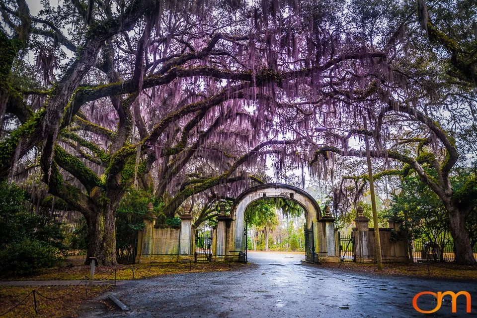 Savannah Georgia