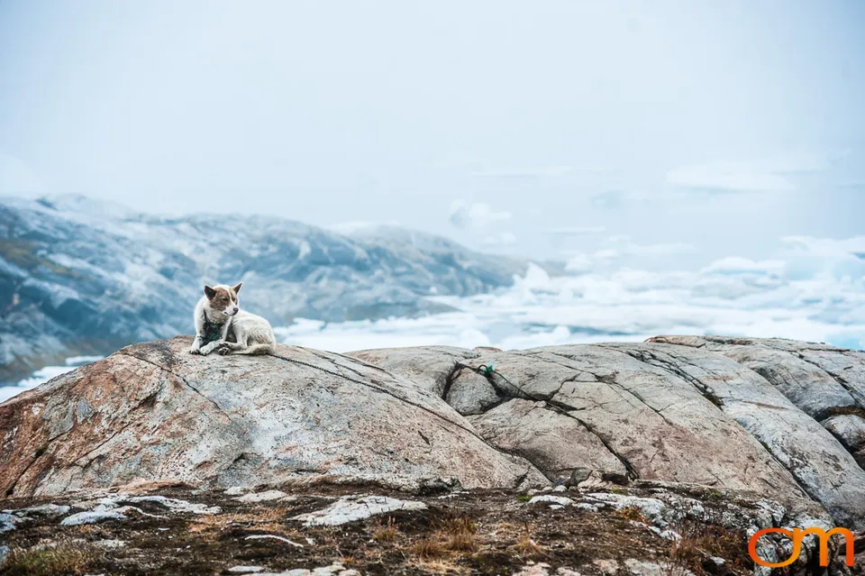Tiilerilaaq (Tiniteqilaaq): Settlement Life on Sermilik Fjord