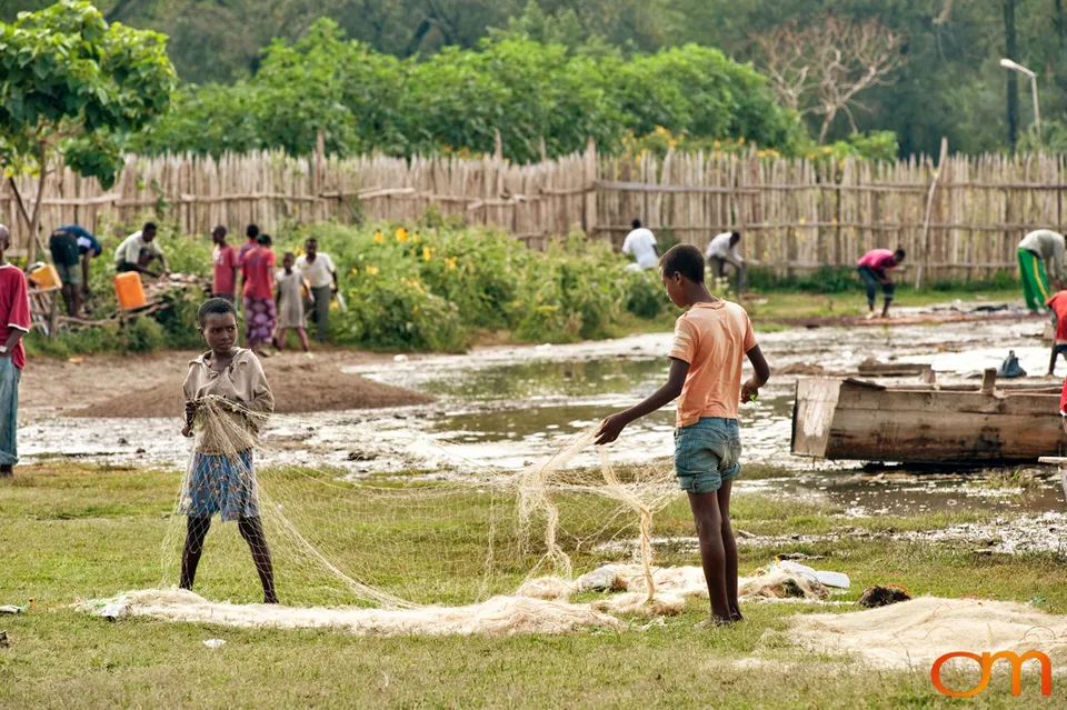 Awassa Fish Market