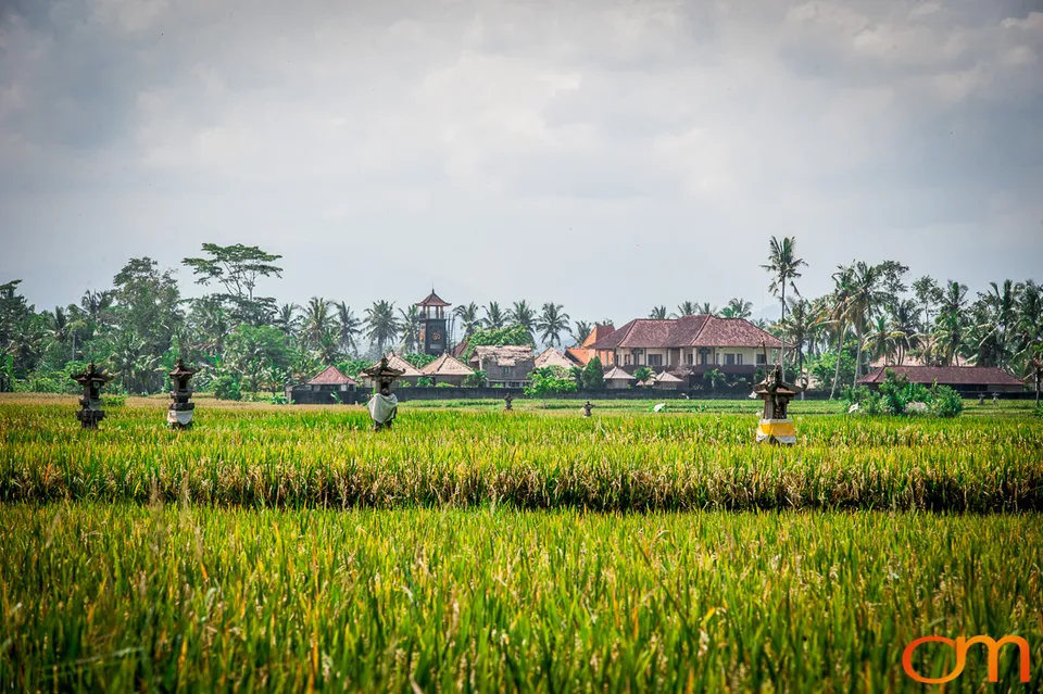 Bali, Indonesia: Temples, Rice Fields, and Markets
