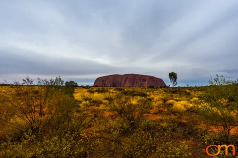 Uluṟu–Kata Tjuṯa National Park