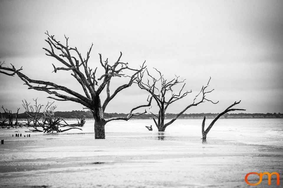 Botany Bay Plantation Heritage Preserve, Edisto Island