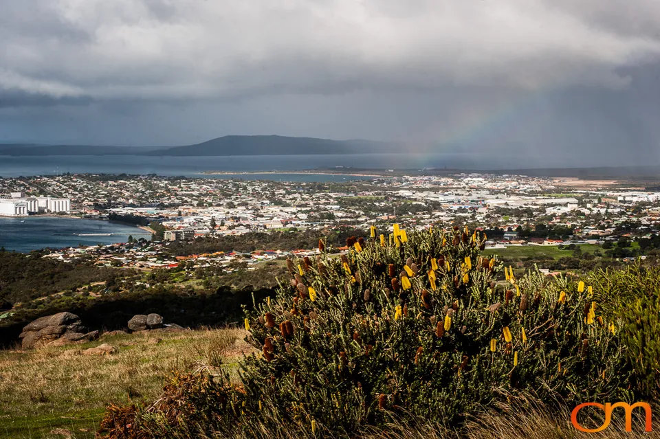 Port Lincoln and the White Sharks of the Neptune Islands