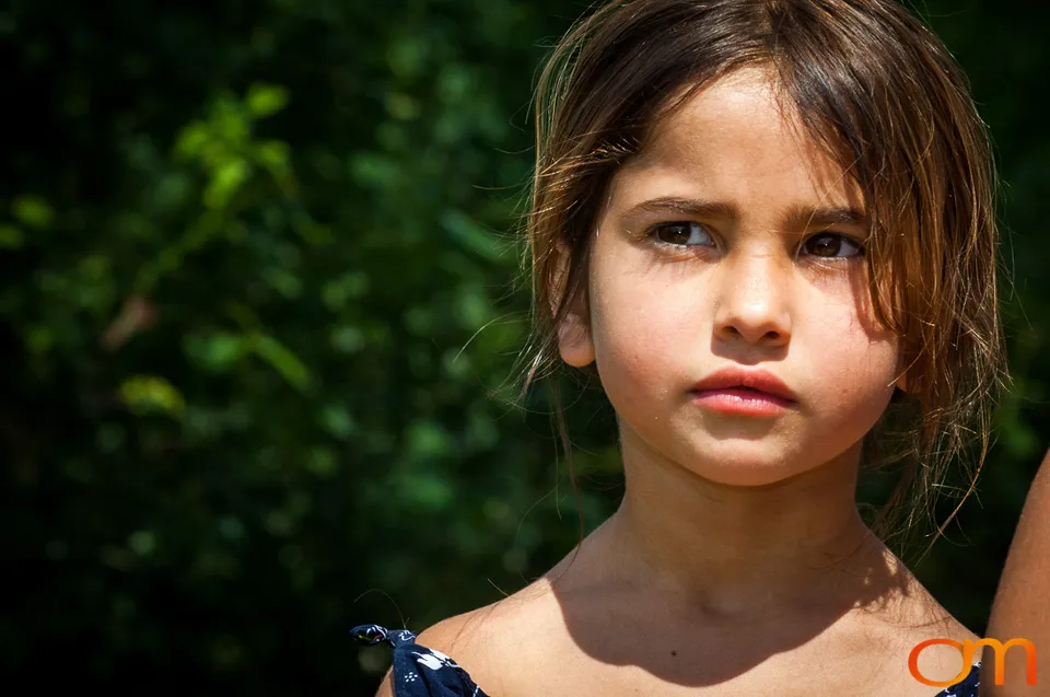 Roma Communities in Macedonia, 2006