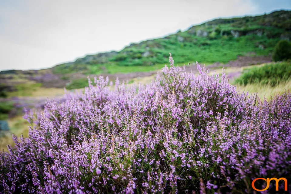 Eryri National Park (Snowdonia)