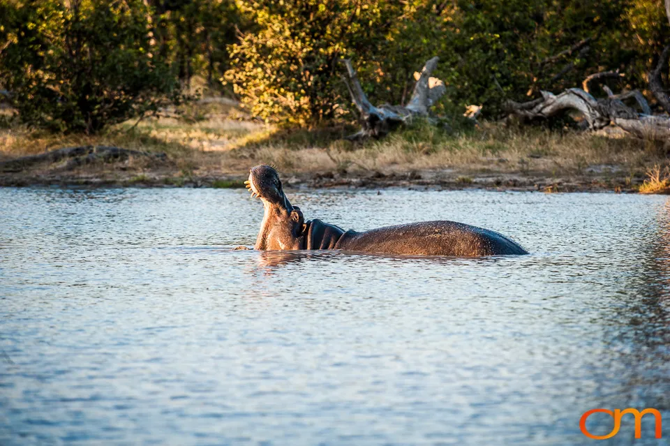 Okavango Delta, Botswana