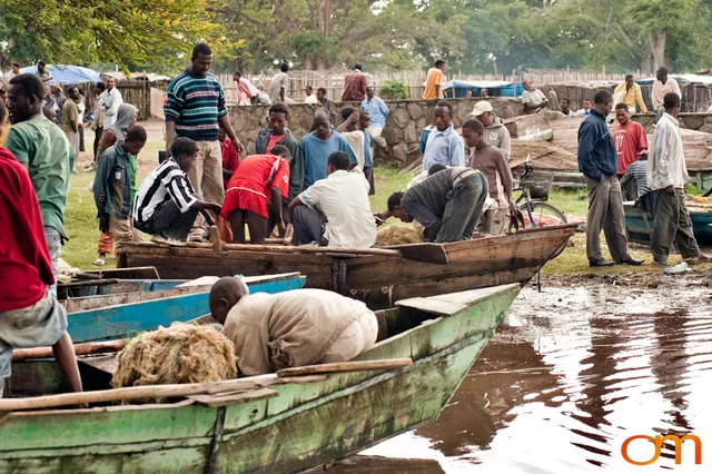 Awassa Fish Market