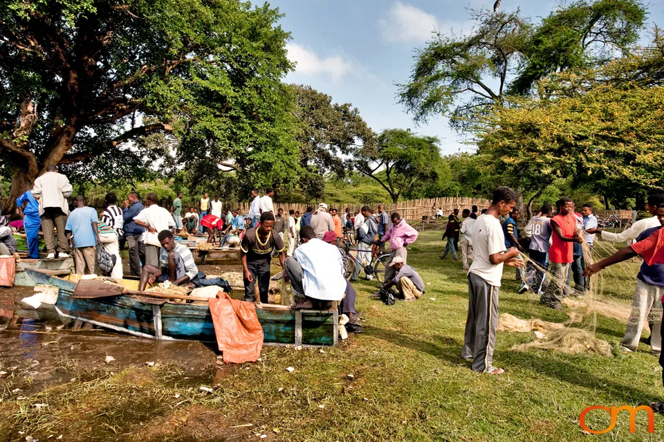 Awassa Fish Market