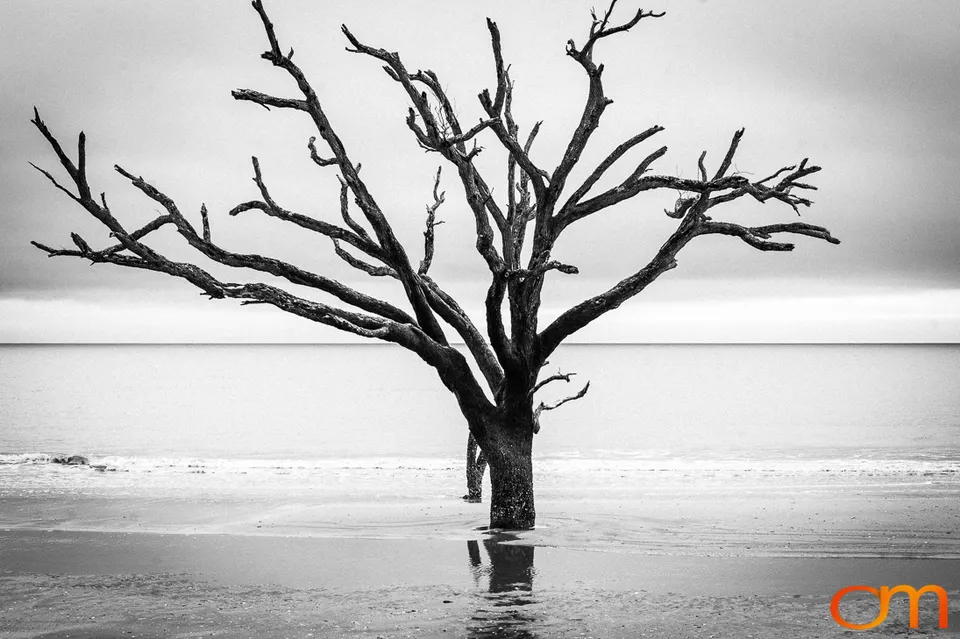 Botany Bay Plantation Heritage Preserve, Edisto Island