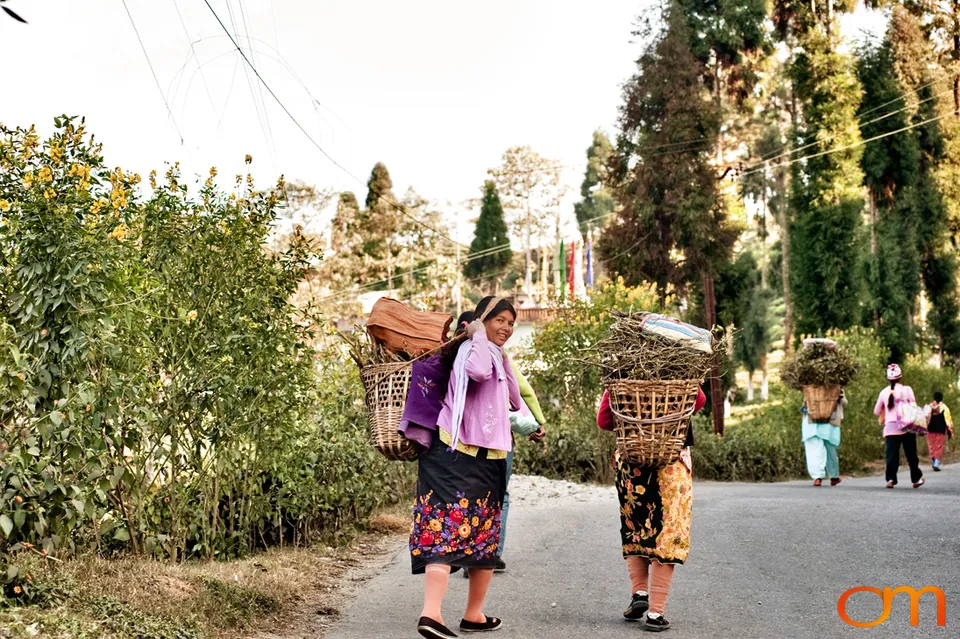 Mirik: Tea Gardens and Himalayan Community Life