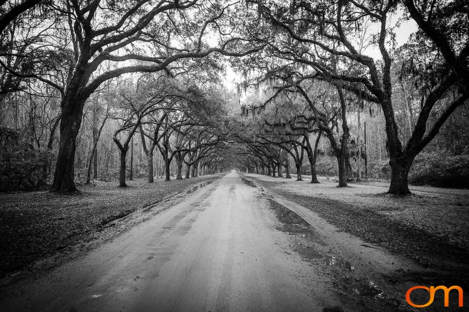 Savannah Georgia