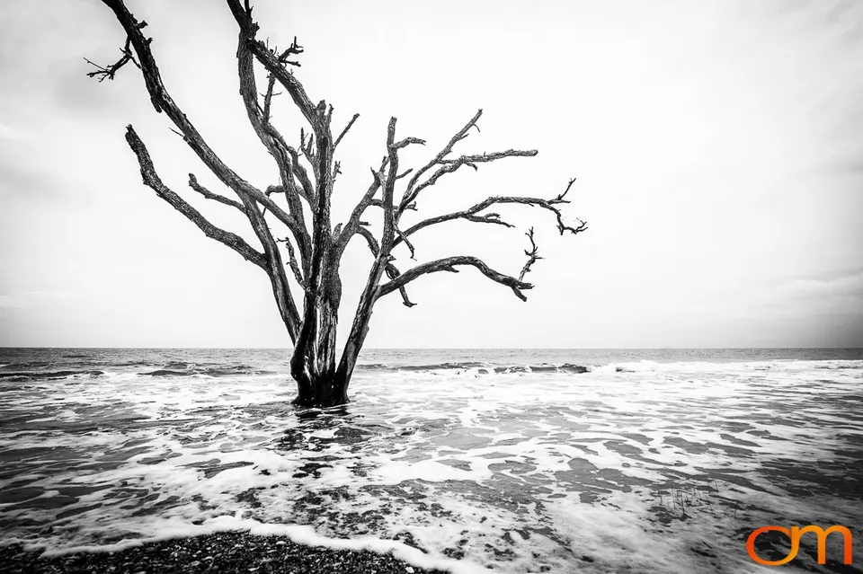 Botany Bay Plantation Heritage Preserve, Edisto Island