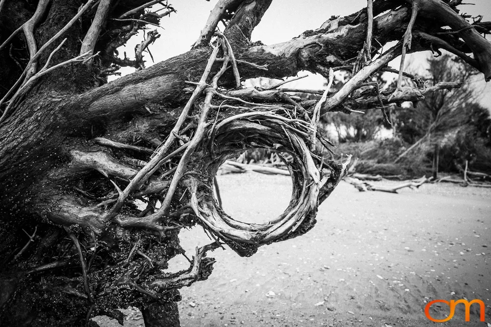 Botany Bay Plantation Heritage Preserve, Edisto Island