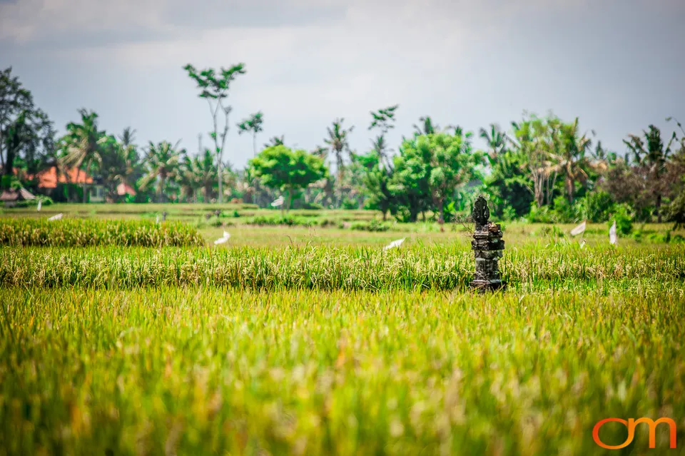 Bali, Indonesia: Temples, Rice Fields, and Markets