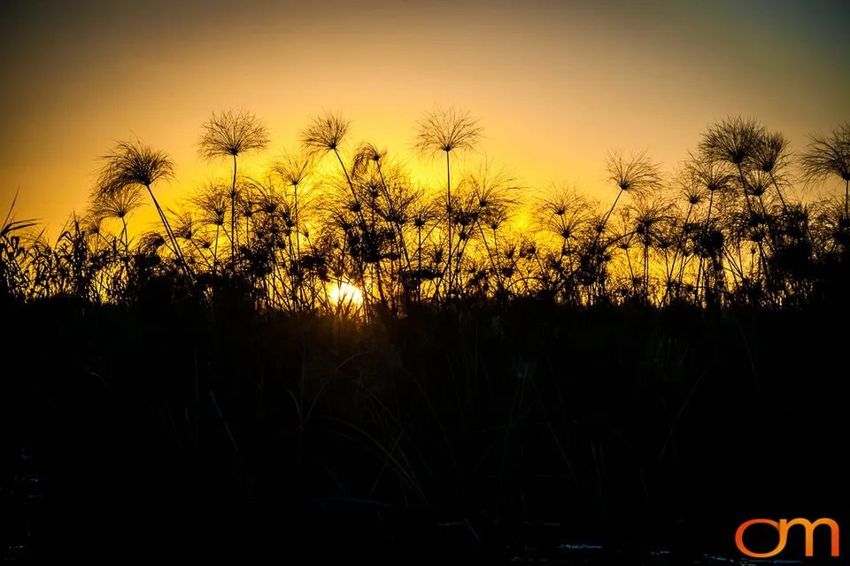 Okavango Delta, Botswana