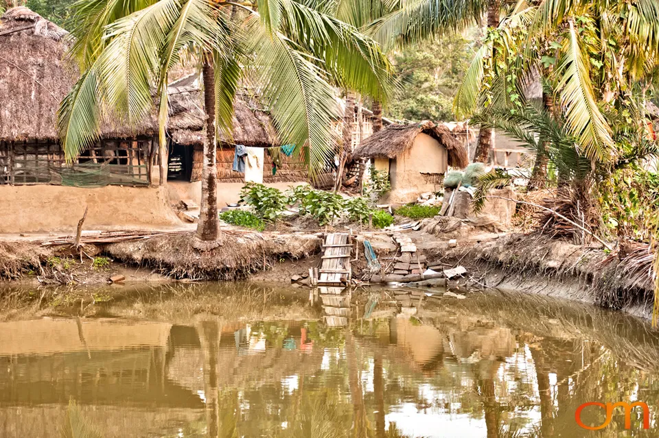 The Indian Sundarbans: Mangrove Forests and Tidal Islands
