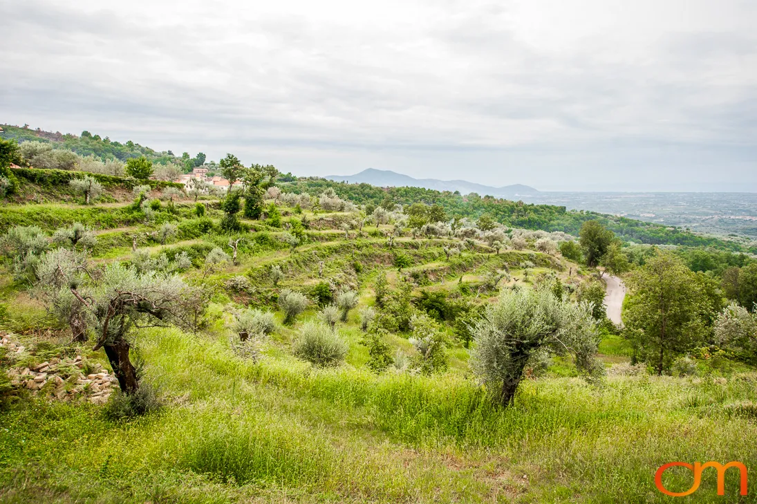 San Martino and the Roccamonfina Volcanic Landscape