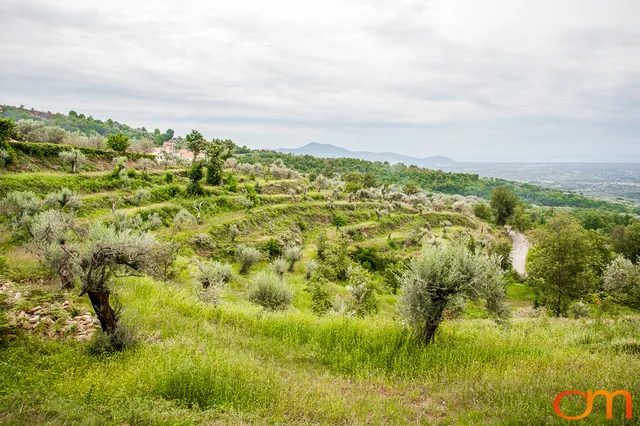 San Martino and the Roccamonfina Volcanic Landscape