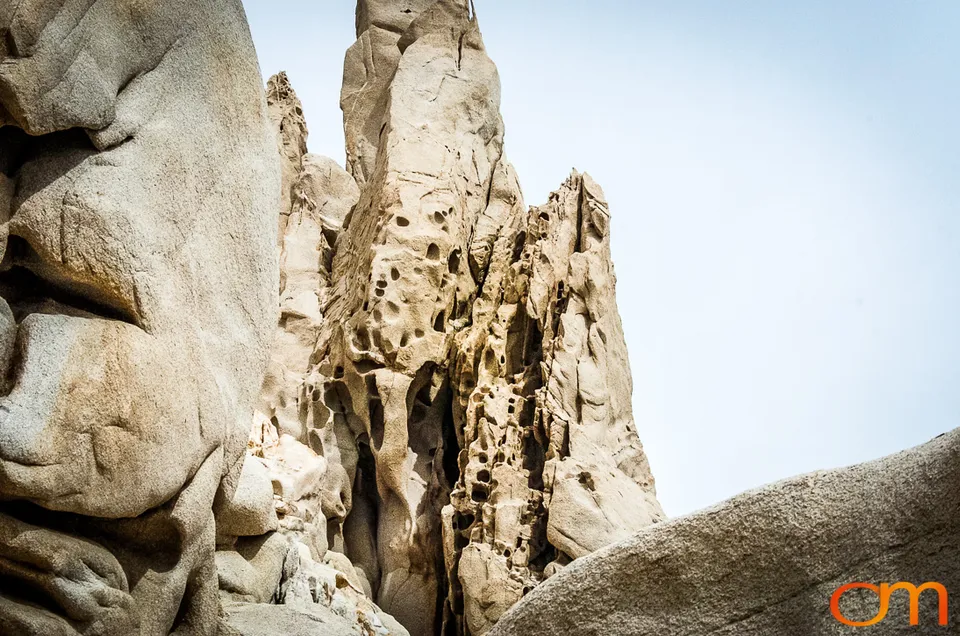Cabo San Lucas: Marine Wildlife at Land’s End