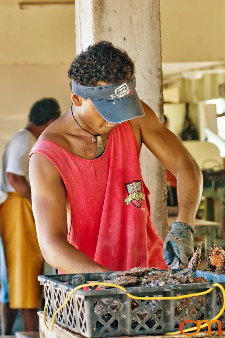 Cultivating Tahitian Pearls in French Polynesia