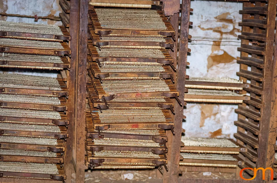 Child Labor in Sivakasi, India