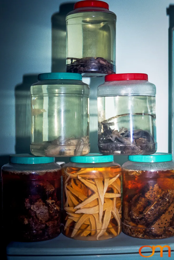 Rượu Thuốc: Medicinal Liquor in Vietnam