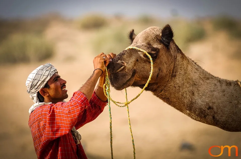 Rajasthan: Thar Desert
