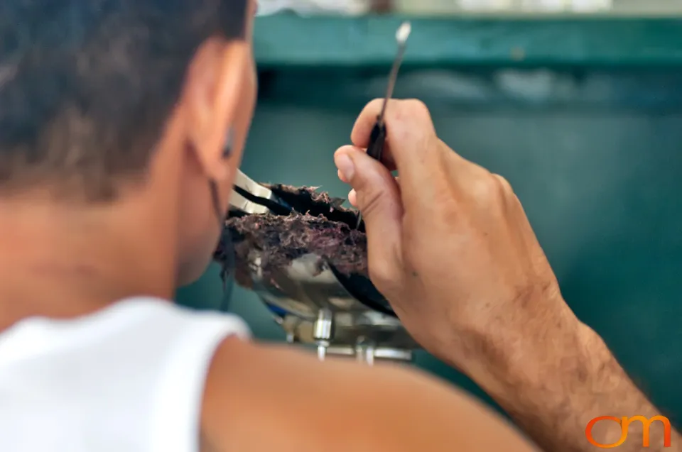 Cultivating Tahitian Pearls in French Polynesia