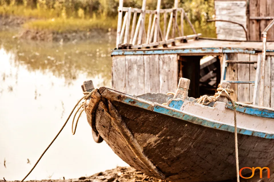 The Indian Sundarbans: Mangrove Forests and Tidal Islands