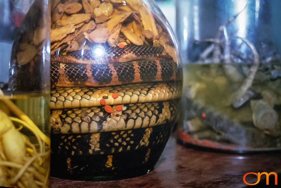Rượu Thuốc: Medicinal Liquor in Vietnam
