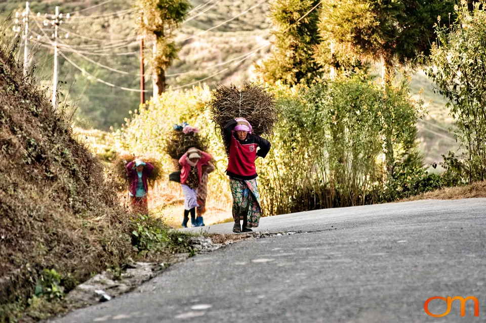 Mirik: Tea Gardens and Himalayan Community Life