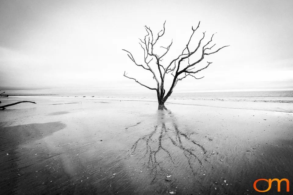 Botany Bay Plantation Heritage Preserve, Edisto Island