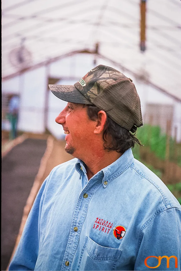 Perique Tobacco: Pressure Fermentation in Louisiana